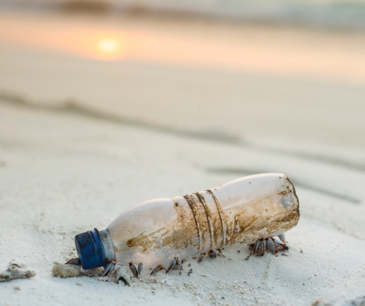 [ECO]: 5 Easy Tips For Plastic Free July