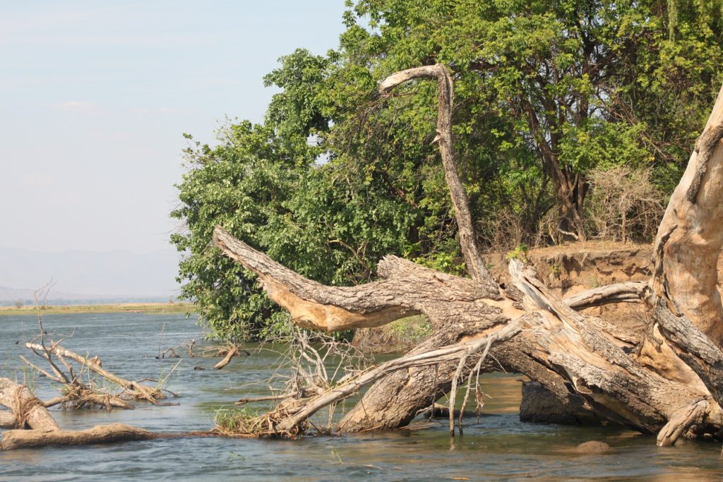 Zambezi River, Zambia