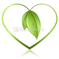 Being Glam and Green on my New Adventure