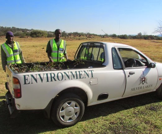 Miss Earth: Updates & Thank You's Miss Earth: Updates & Thank You's