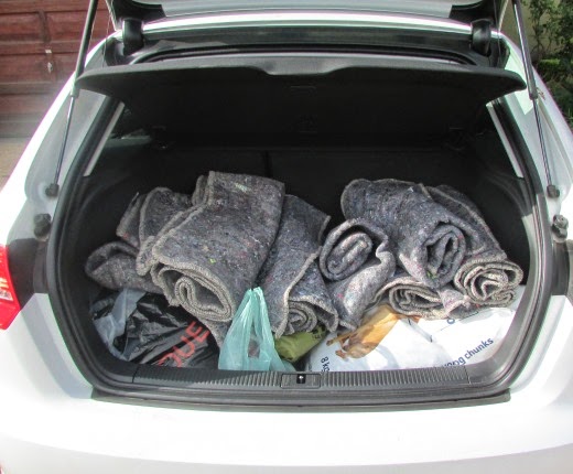 Miss Earth: Updates & Thank You's Miss Earth: Updates & Thank You's