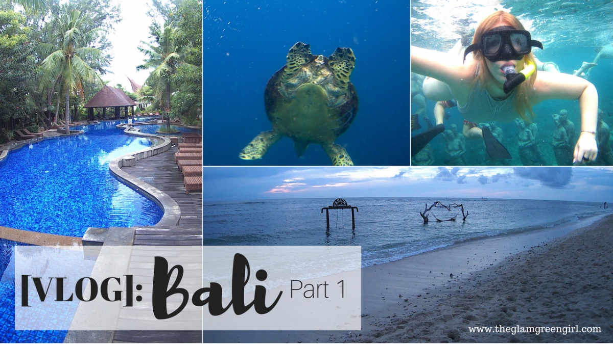 [VIDEO]: Bali Vlog - Part 1