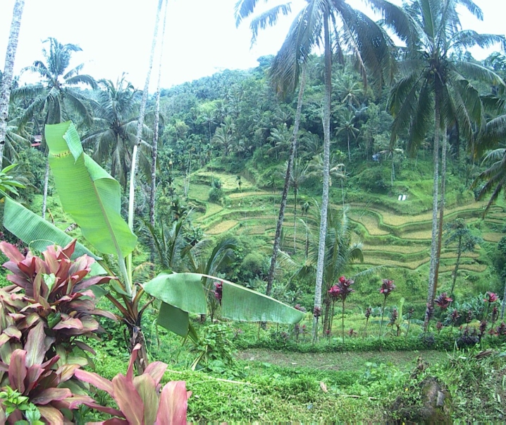 [TRAVEL]: Bali Island Hopper Contiki Tour – Part 2