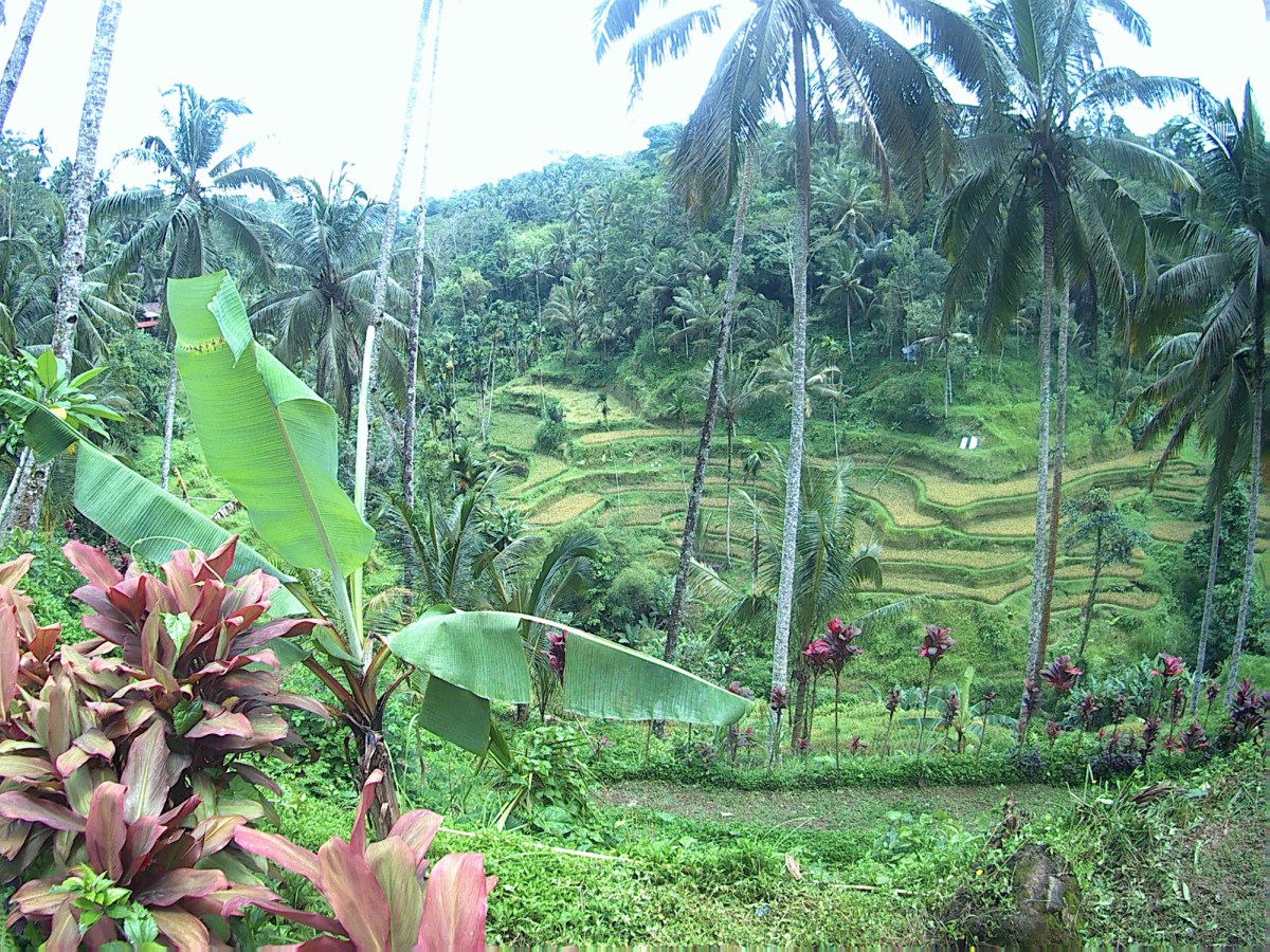 [TRAVEL]: Bali Island Hopper Contiki Tour - Part 2