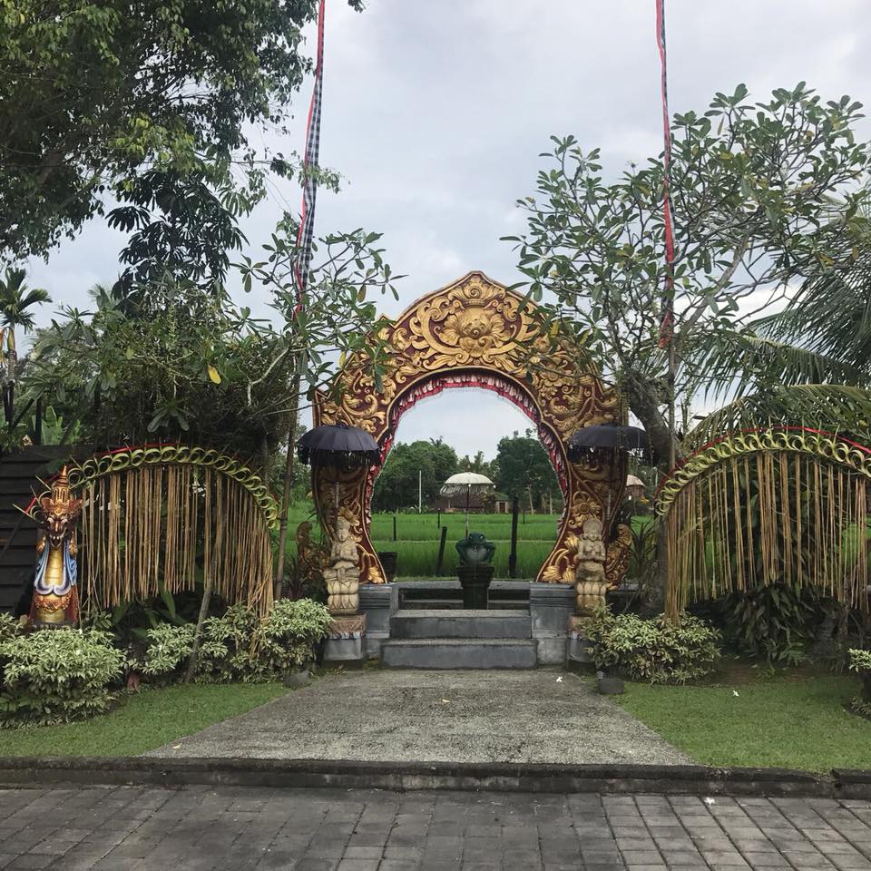 24312418_10155050806195841_7240060001297682421_n