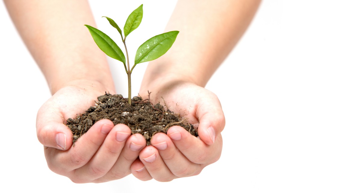 10 Things To Compost Instead Of Trashing It