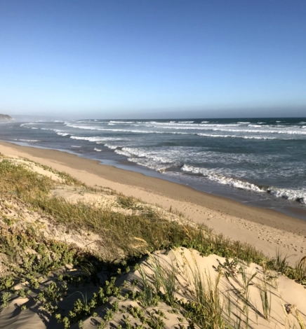 [TRAVEL]: 3 Things To Do in Stilbaai