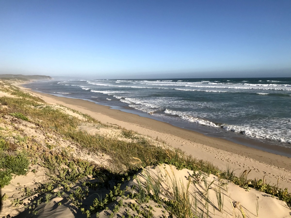 [TRAVEL]: 3 Things To Do in Stilbaai