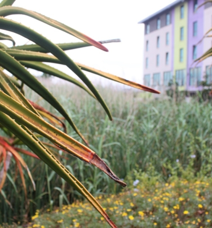 [TRAVEL]: 2 Nights At Hotel Verde, Cape Town