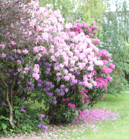 [TRAVEL]: 1 Night in Bury & 1 Night in Manchester, May 2019