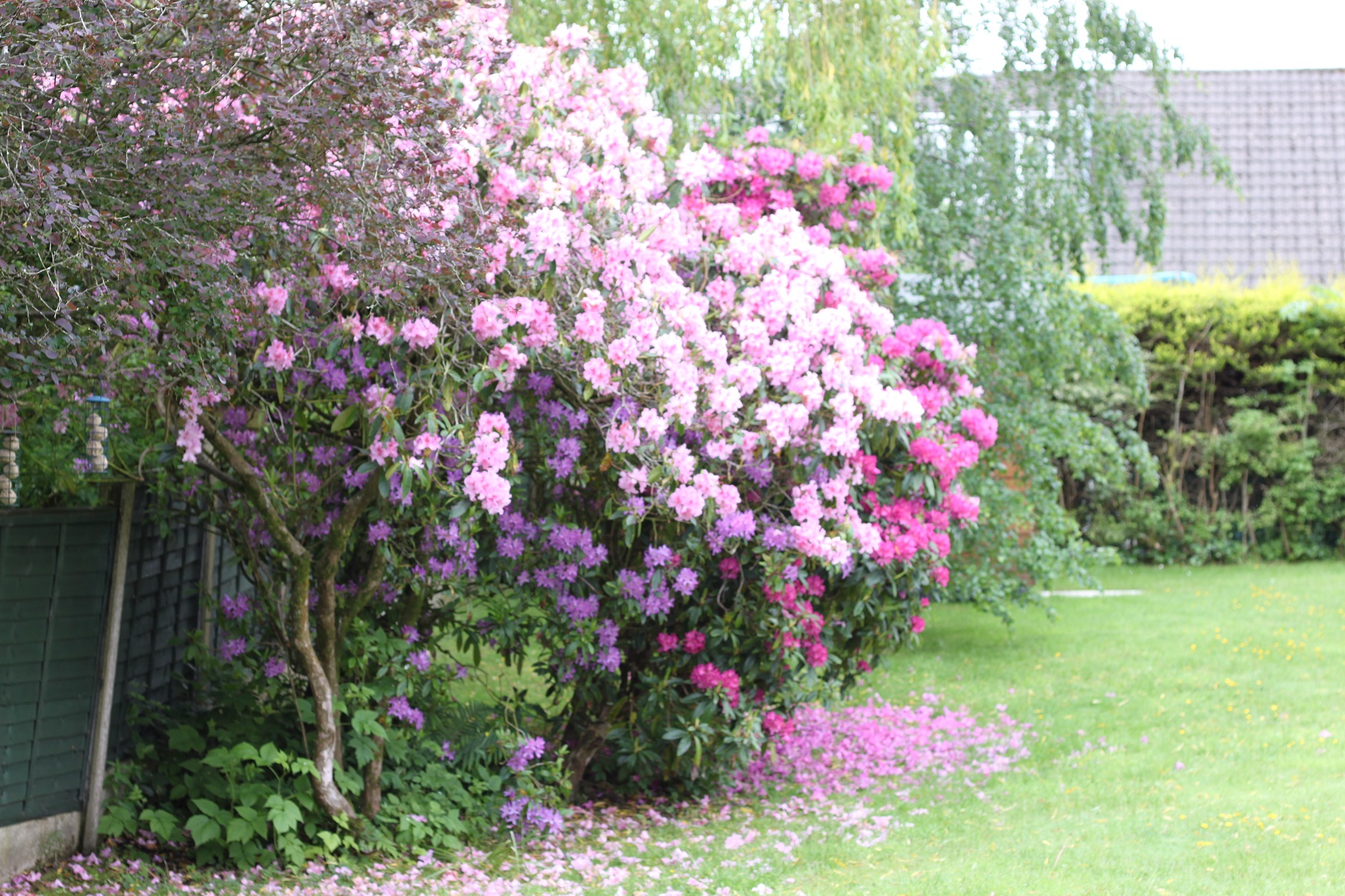 [TRAVEL]: 1 Night in Bury & 1 Night in Manchester, May 2019