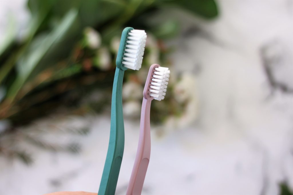 Jordan Green Clean Toothbrushes