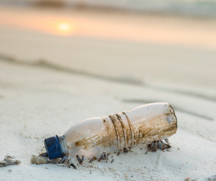 5 Easy Tips For a Plastic Free July