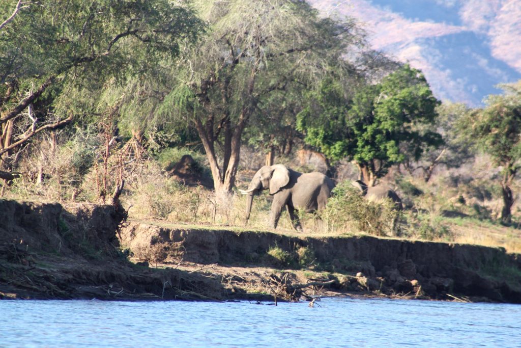 [TRAVEL]: 5 Nights in Zambia - September 2019
