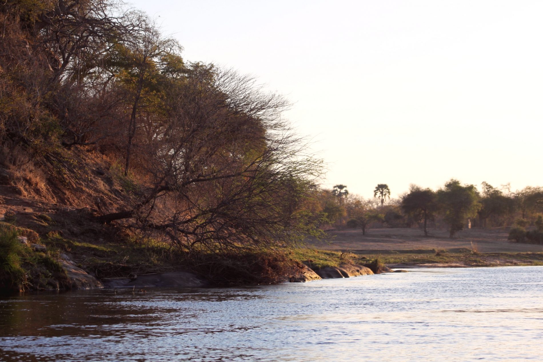 [TRAVEL]: 5 Nights in Zambia - September 2019