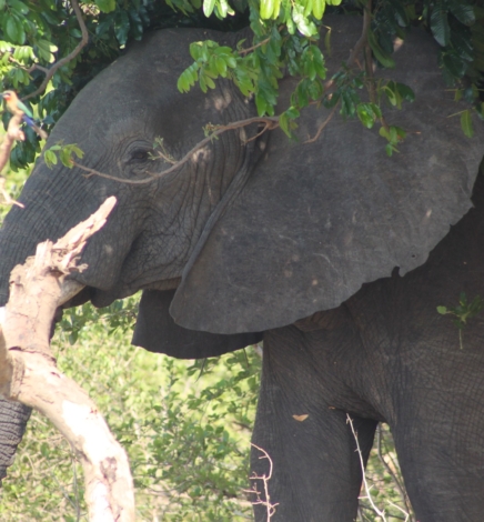 [TRAVEL]: 5 Nights In Zambia – November 2020