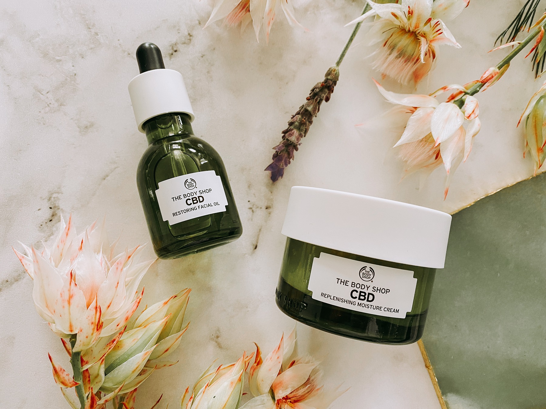 [BEAUTY] The Body Shop SelfCare Box The Glam Green Girl
