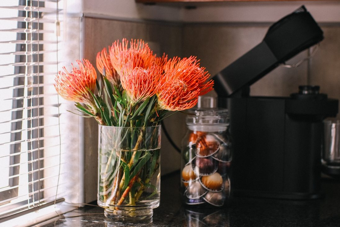 Nespresso's recyclable capsules 