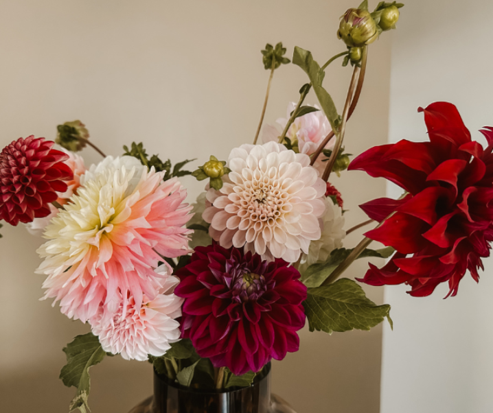 [LIFE]: Your 2025 Bucket List: 25 Easy and Impactful Goals