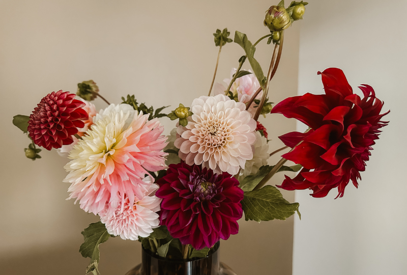 [LIFE]: Your 2025 Bucket List: 25 Easy and Impactful Goals