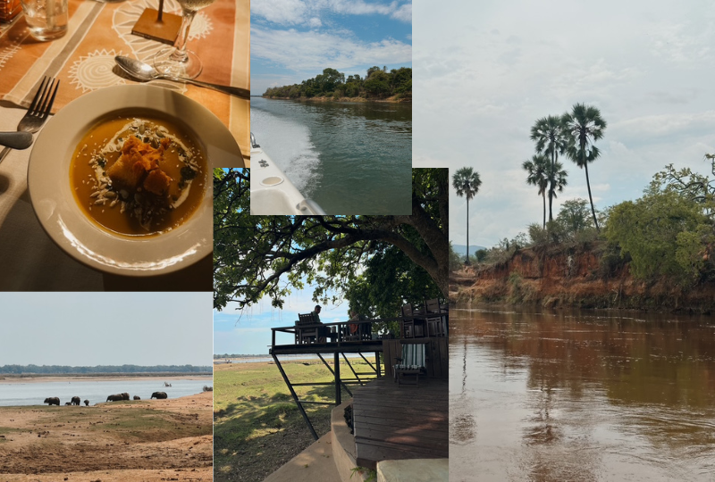 [TRAVEL]: Lower Zambezi, Zambia November 2024
