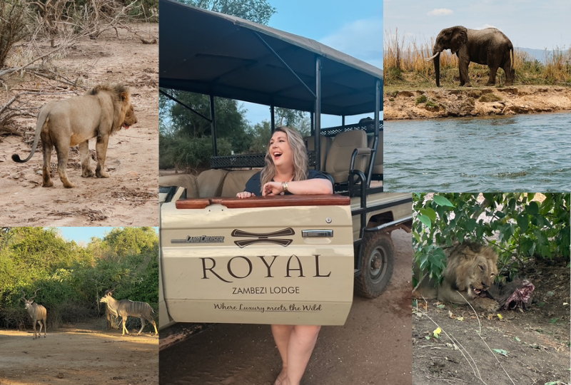 Game Drives at Royal Zambezi